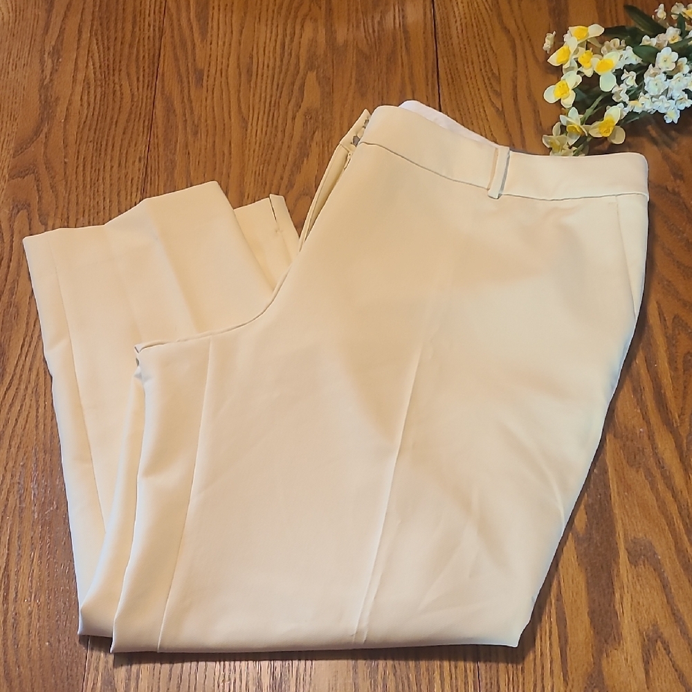 Talbots NWT Hampshire Ankle Straight Leg Cream Dress Pants - 22W